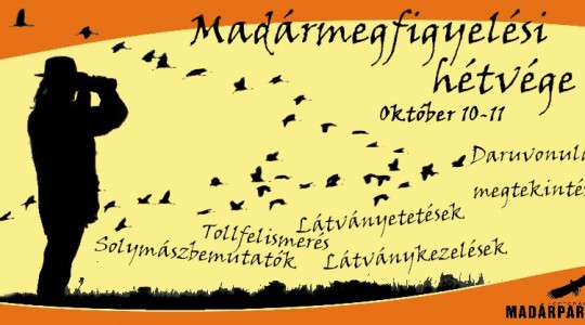 Madármegfigyelési hétvége a Madárkórházban