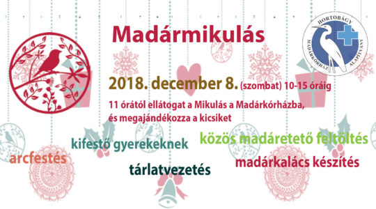 Madármikulás - 2018