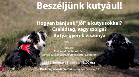 Beszéljünk kutyául!